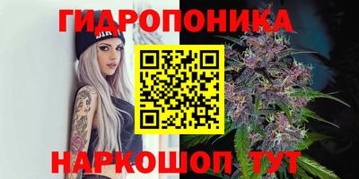 ECSTASY Ливны