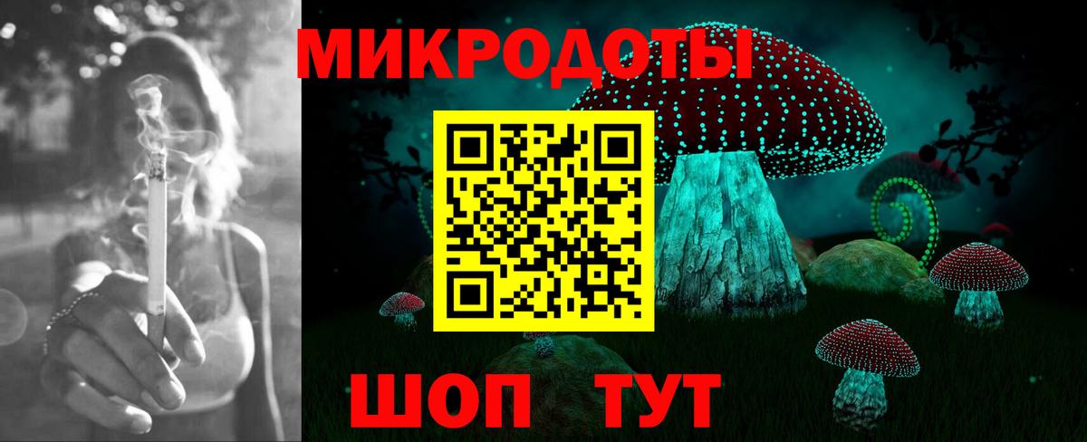Псилоцибиновые грибы Psilocybine cubensis Сунжа