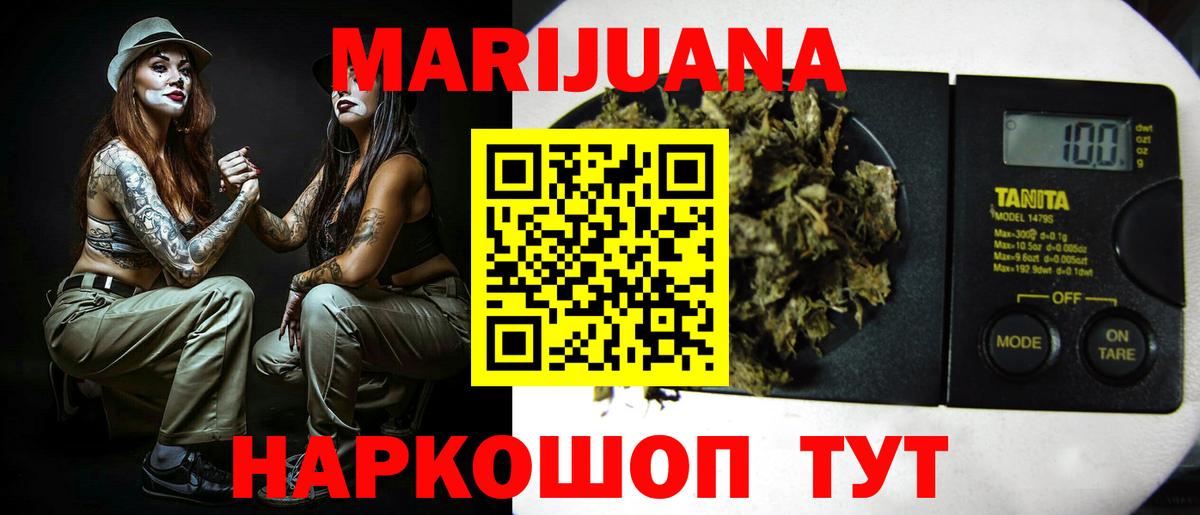 Марихуана планчик  Канабис сатива  Вход с VPN  Сунжа  Конопля SATIVA & INDICA 